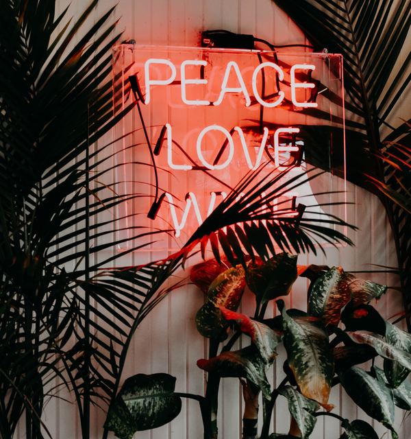 Jacalyn beales 436936 unsplash