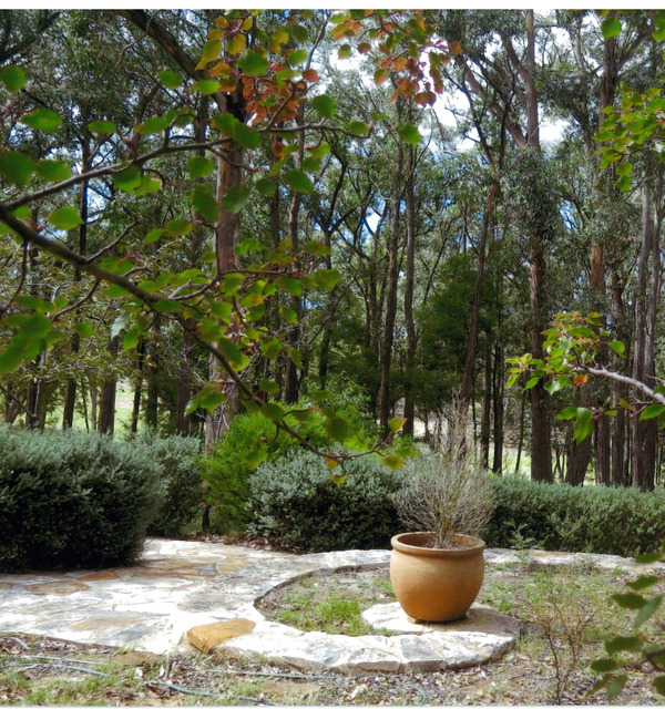 Ts property canyonleigh 2