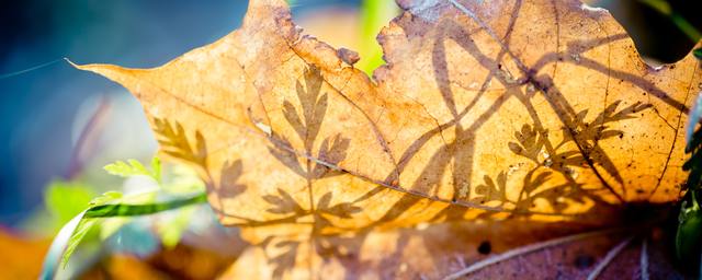 Raimond klavins 9zkdvp9bvmy unsplash
