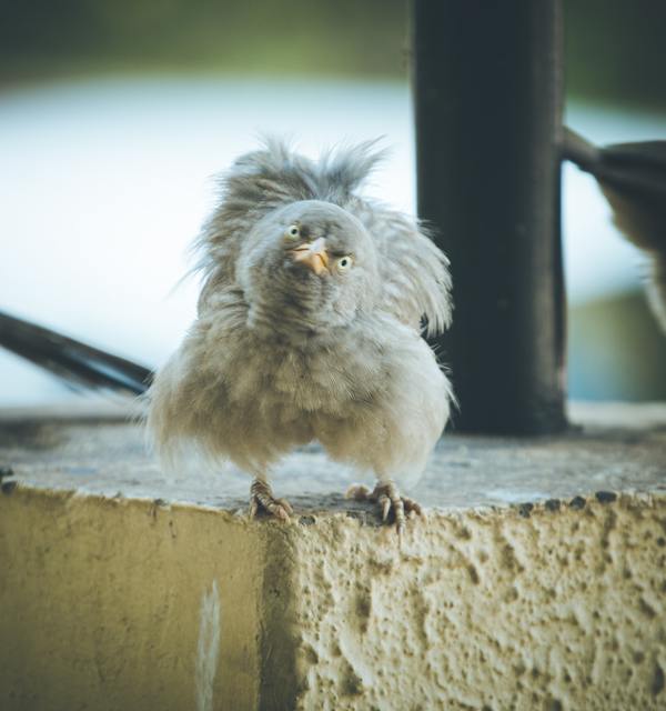 Vivek doshi b6qkjnctabs unsplash%281%29