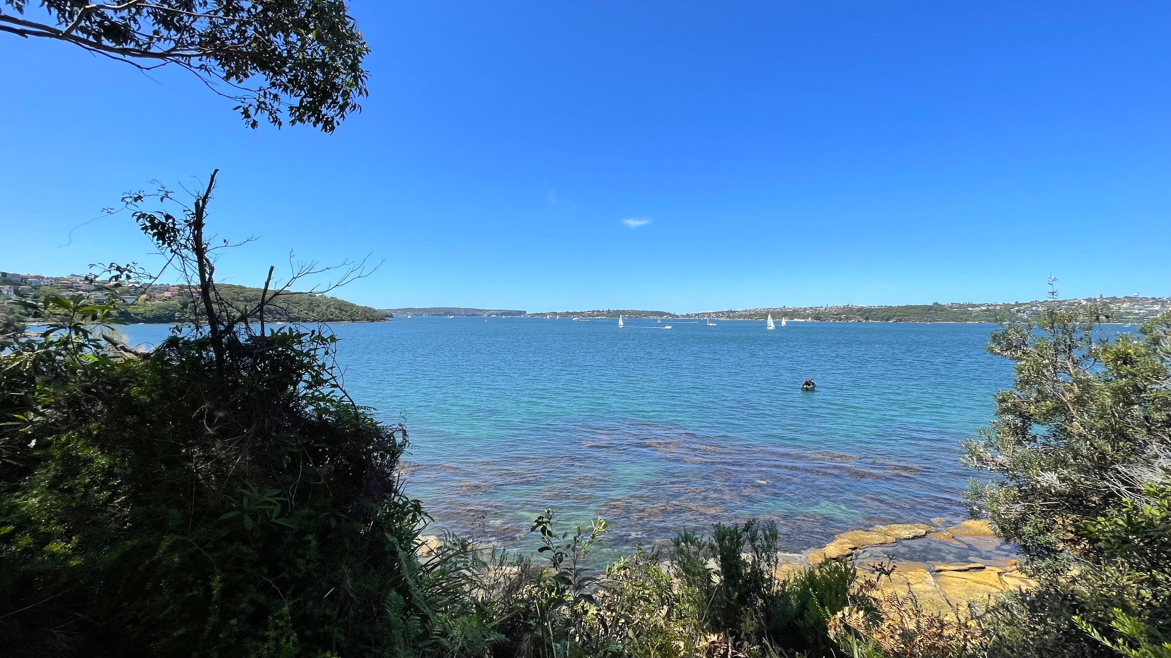 Sydney Harbour near Taylor's bay